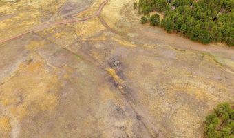 3 County Rd. N2157 Parcel 3, The Meadows Edge, Alpine, AZ 85920