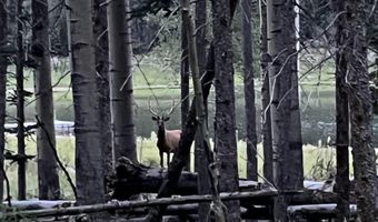 Hidden lake Circle lot 40 Ab, Angel Fire, NM 87710