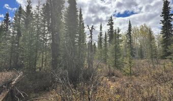 B005 S Packsaddle Road, Chickaloon, AK 99674