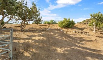 6535 Juniper Crest Rd, Agua Dulce, CA 91390