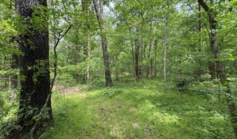 Tract 1 East Bay Road, Atkins, AR 72823