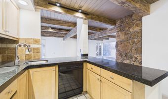 651 S Monarch St 104, Aspen, CO 81611