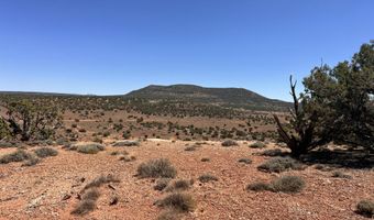 77 CR N8604, Concho, AZ 85924