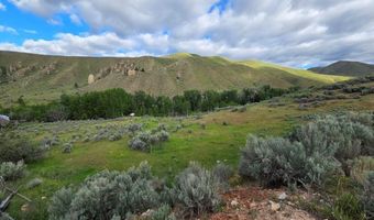 NKN E Tower Creek Road, Carmen, ID 83462