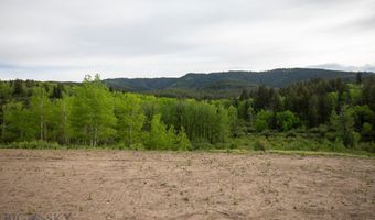 Trail Creek Road Lot 3, Bozeman, MT 59715