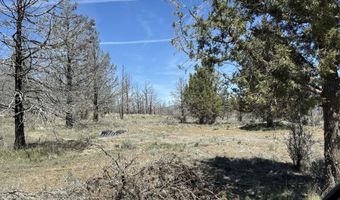 31763 Godowa Springs Rd, Beatty, OR 97621