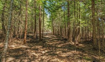 NKA Wandering Wolf Ridge Lot 3, Clark Fork, ID 83811