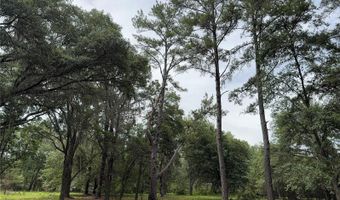 Tbd NW 67TH BOULEVARD, Alachua, FL 32615