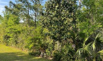 135 Water Oaks Way, Apalachicola, FL 32320