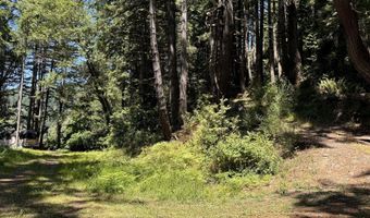 Silver Creek RD 2, Gold Beach, OR 97444