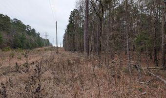 Lots B & C Miller Road, Camden, SC 29020
