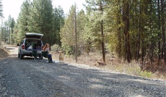Oriole lot 2 & 3, Bonanza, OR 97623
