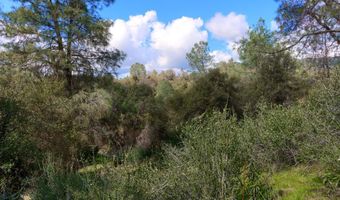 6 Knickerbocker, Ahwahnee, CA 93601