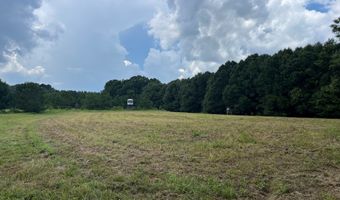 TBD County Road 40, Abbeville, AL 36310