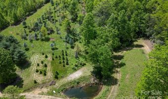 1557 Shoal Creek Rd, Balsam Grove, NC 28708