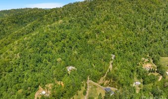 274 Poverty Branch Rd 2, Barnardsville, NC 28709