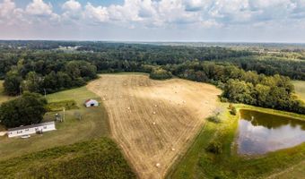 Tbd County Road 1759, Baileyton, AL 35019