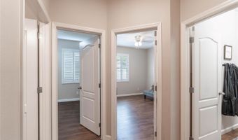 849 PANICAL Dr, Apopka, FL 32703