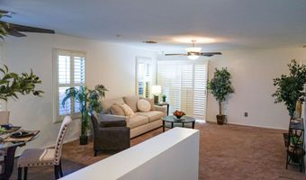 2323 E PEACH TREE Dr, Chandler, AZ 85249