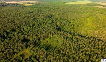 CARPENTER ROAD, Bastrop, LA 71220