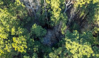 2870 County Road 2604, Alto, TX 75925