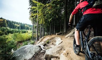350 STAN MILLER 102, Breckenridge, CO 80424