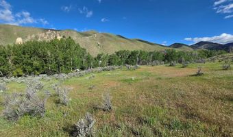 NKN E Tower Creek Road, Carmen, ID 83462