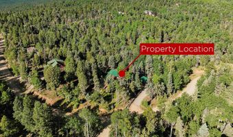 60 Taos Dr, Angel Fire, NM 87710