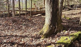 512 Woodbury Mountain Rd, Calais, VT 05648
