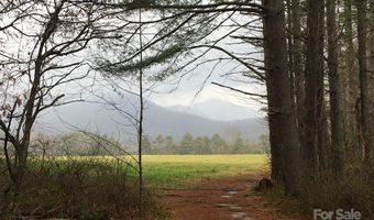 115 Chapman Dr, Asheville, NC 28805