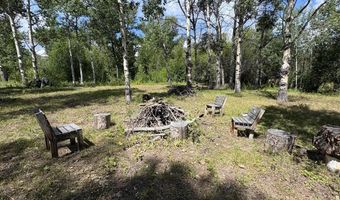 9885 Challis Creek Rd, Challis, ID 83226