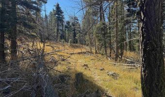 Rainbow Overlook lot 1227, Angel Fire, NM 87710