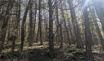 East River Road lot 5, Andes, NY 13731