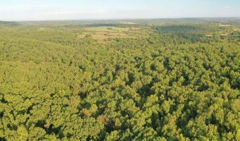 County Road P-305, Ava, MO 65608