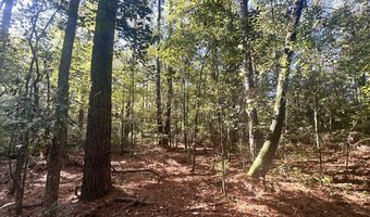 0 Highway 3, Blackville, SC 29817