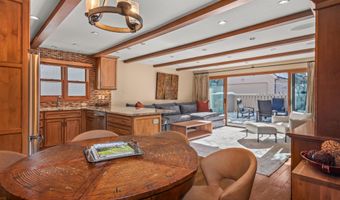 825 E Hopkins Ave 2S, Aspen, CO 81611