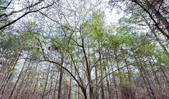 Lot C112 DOCK SIDE Lane, Lincolnton, GA 30817
