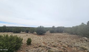 Tbd CR 8065, Concho, AZ 85924