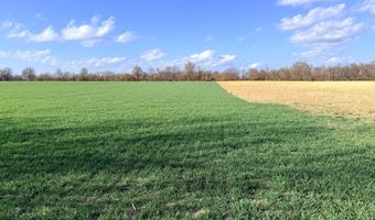 0001 CR-290, Asbury, MO 64832