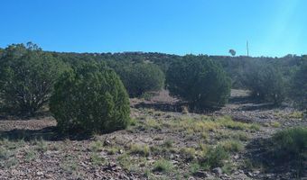 41 Indian Dr, Concho, AZ 85924