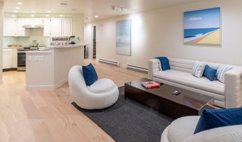 506 W Hallam St, Aspen, CO 81611