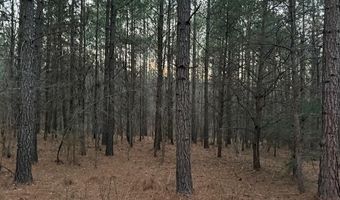 0- Lot 7 Piney Mountain Rd, Appomattox, VA 24522