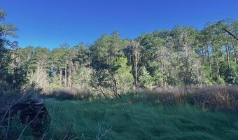 Jarvis Landing Road, Aurora, NC 27806