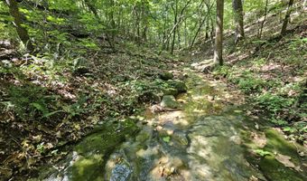 65 Acres Plainview Rd, Anderson, MO 64831