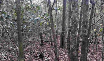00 Forest Hill Dr, Atmore, AL 36502