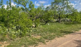631 Avenue H, Anson, TX 79501