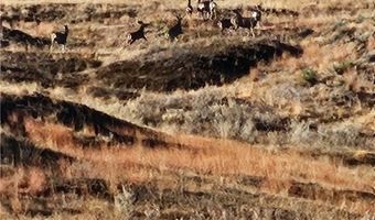 480 Spring Creek Rd, Baker, MT 59336