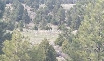01195 Rito Hondo Rd, Antonito, CO 81120