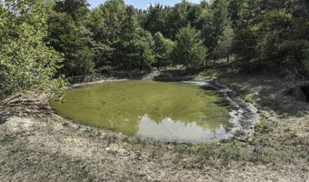 1307 Route Af, Ava, MO 65608