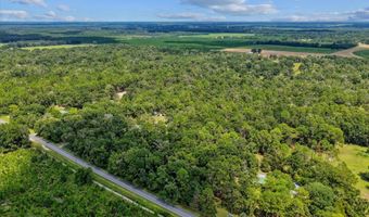 4700 55th Ave, Bell, FL 32619